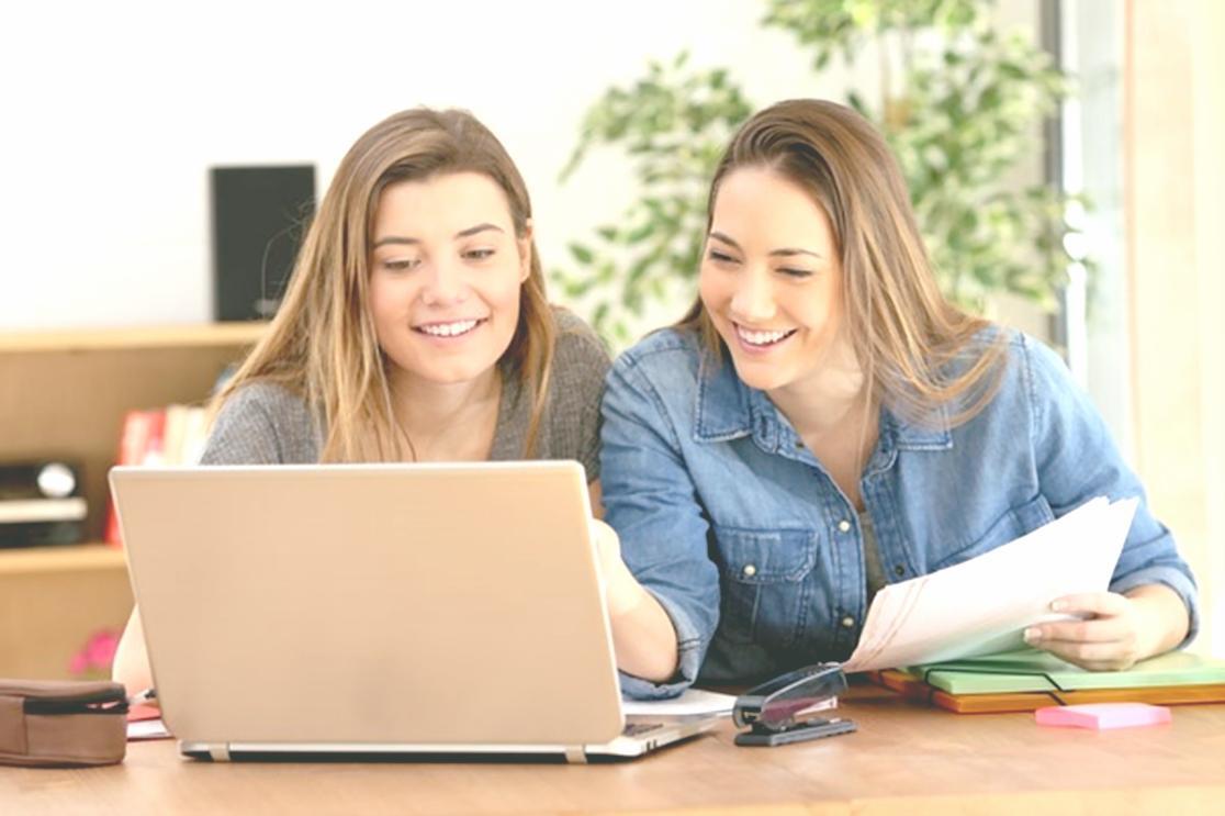 Online seminar session with international participants